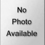 No Photo Available